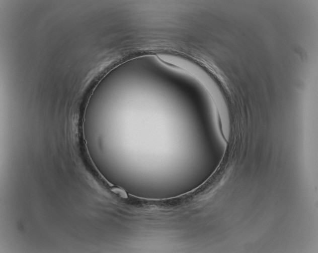 X0000113950585200910091610