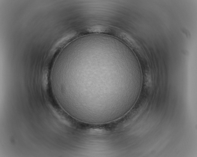 X0000113950586200910091610