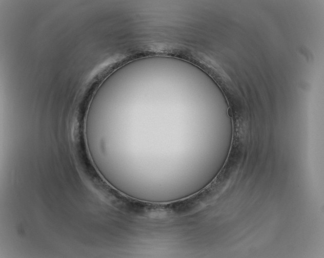 X0000113950587200910091610