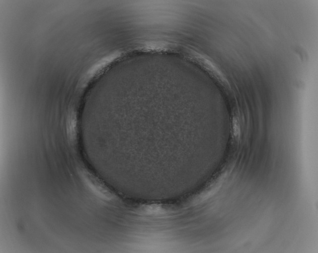X0000113950588200910091610