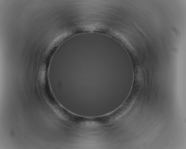 X0000113950590200910091610