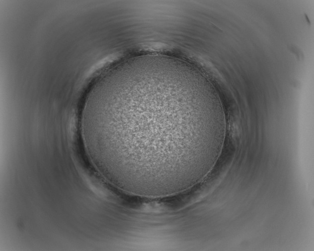 X0000113950591200910091610