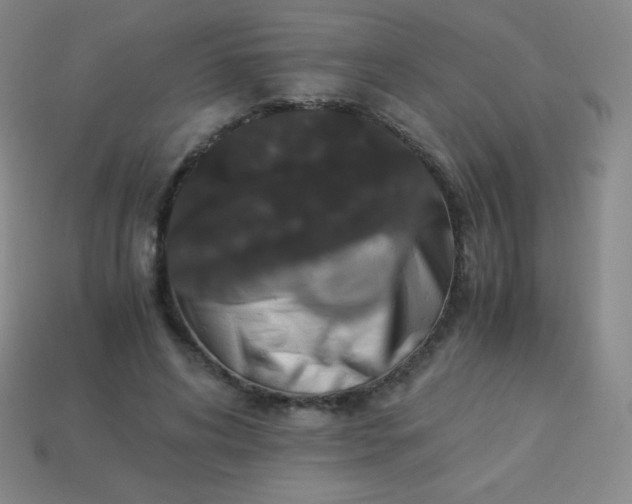 X0000113950592200910091610