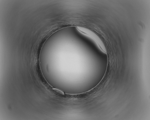 X0000113950593200910091610