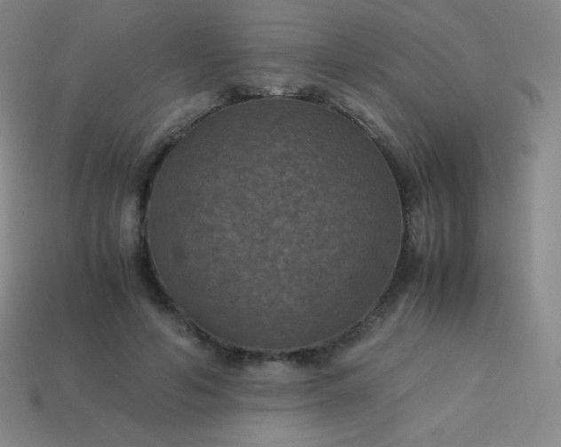 X0000113950594200910091610