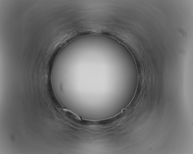 X0000113950595200910091610