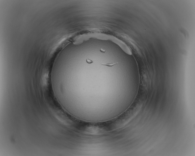 X0000113950596200910091610
