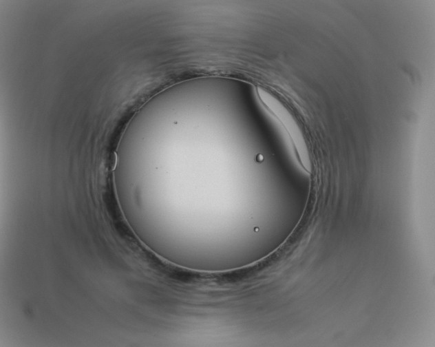 X0000113950597200910091610