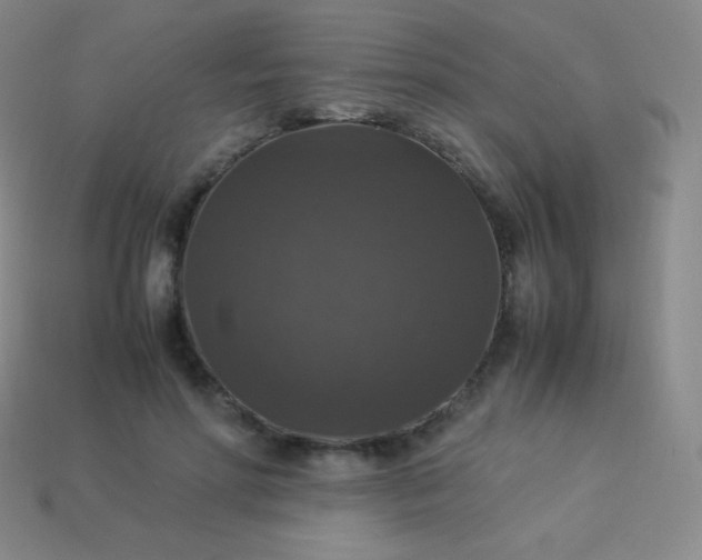 X0000113950598200910091610