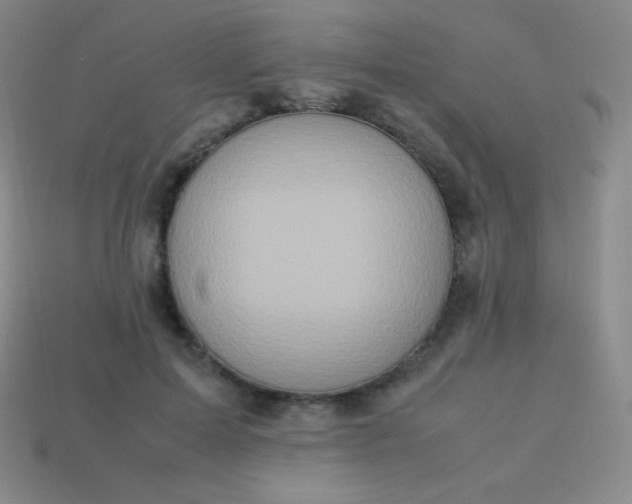 X0000113950599200910091610