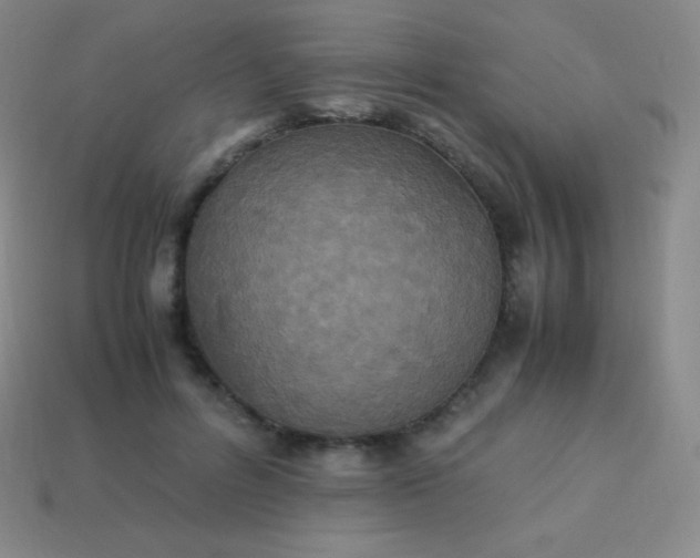 X0000113950600200910091610