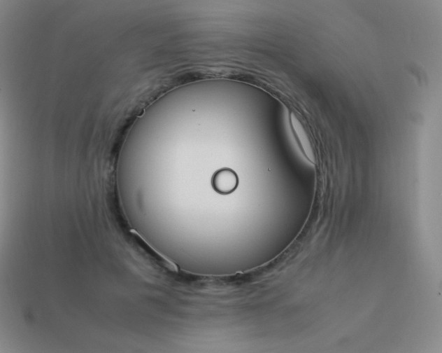 X0000113950601200910091610