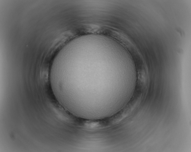 X0000113950602200910091610