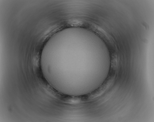 X0000113950604200910091610