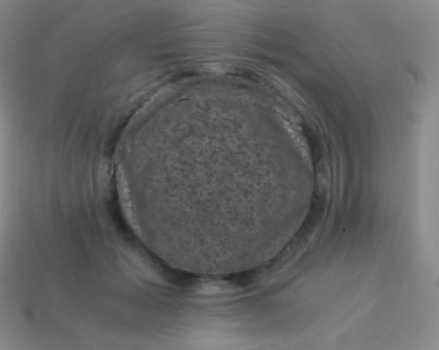 X0000113950605200910091610