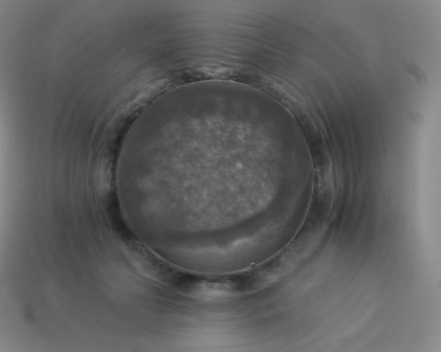 X0000113950606200910091610