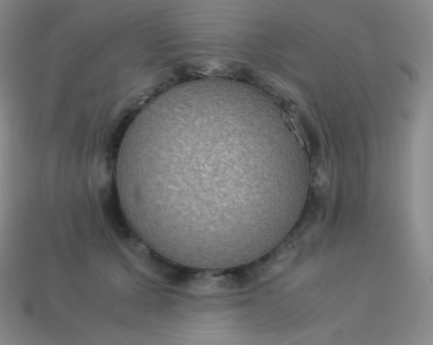 X0000113950607200910091610
