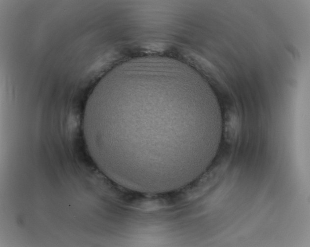 X0000113950608200910091610