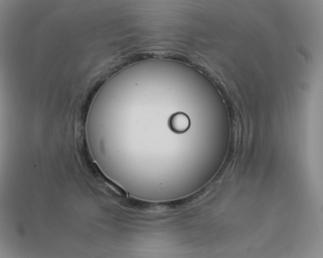 X0000113950609200910091610