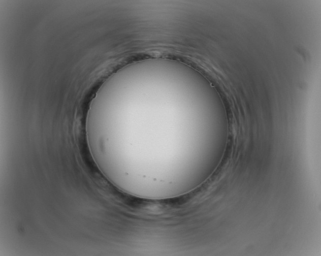 X0000113950611200910091610