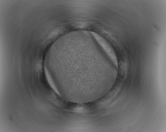 X0000113950612200910091610