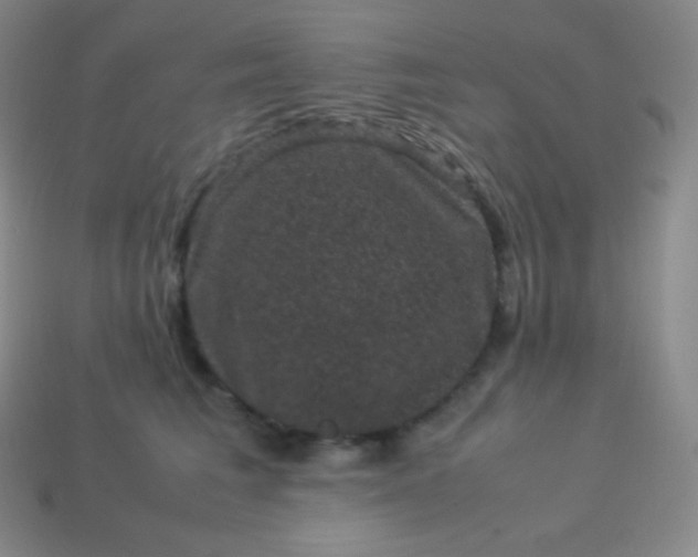 X0000113950613200910091610