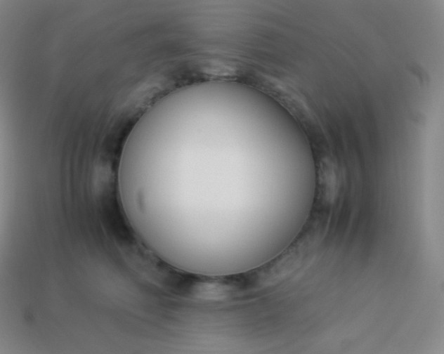 X0000113950614200910091610