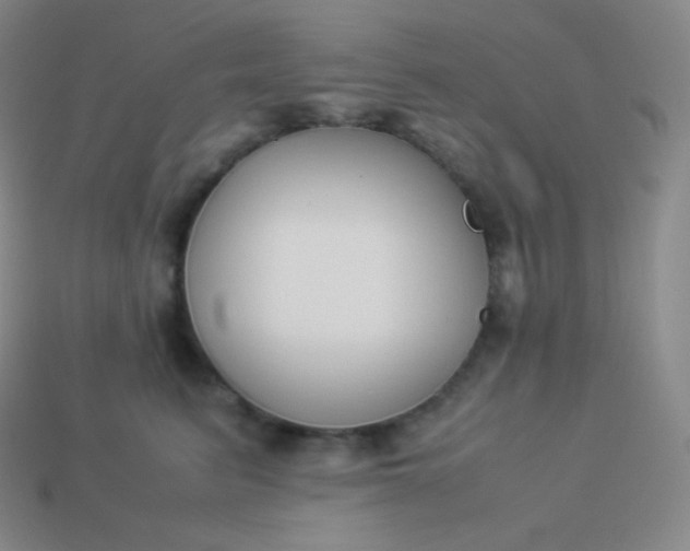 X0000113950615200910091610