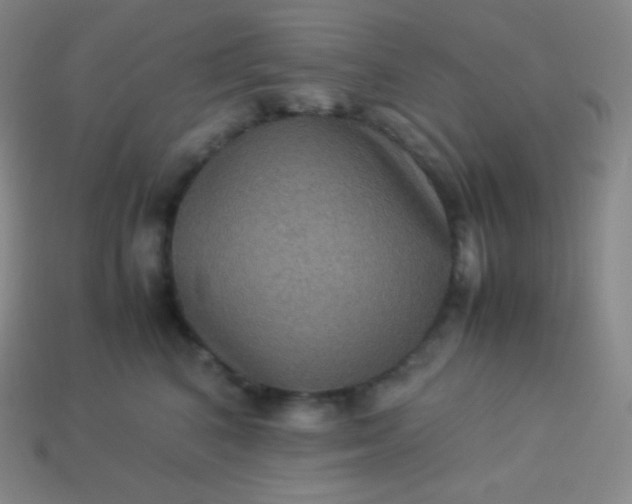 X0000113950616200910091610