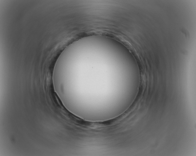 X0000113950617200910091610