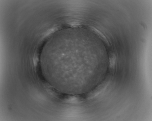 X0000113950618200910091610