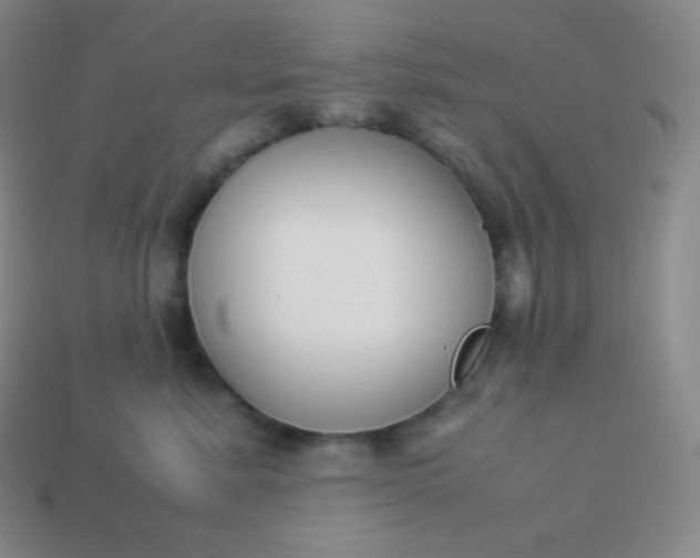 X0000113950619200910091610