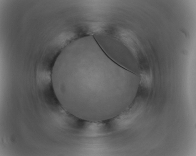 X0000113950621200910091610