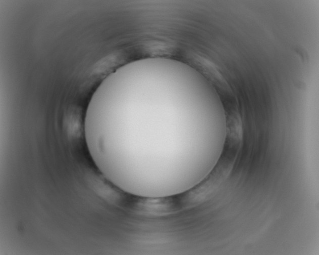 X0000113950622200910091610