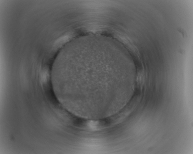 X0000113950623200910091610