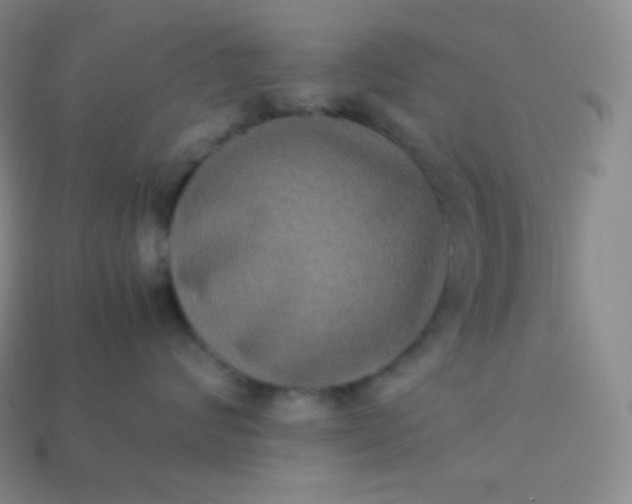 X0000113950624200910091610