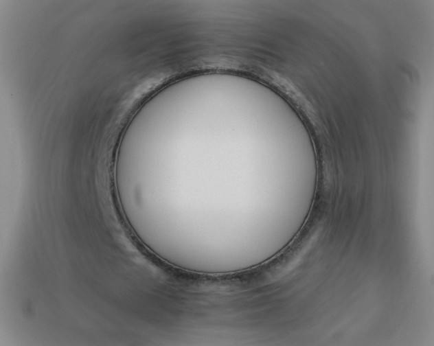 X0000113950625200910091609