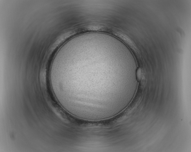 X0000113950626200910091609