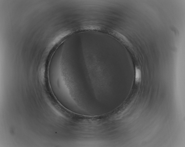 X0000113950627200910091609