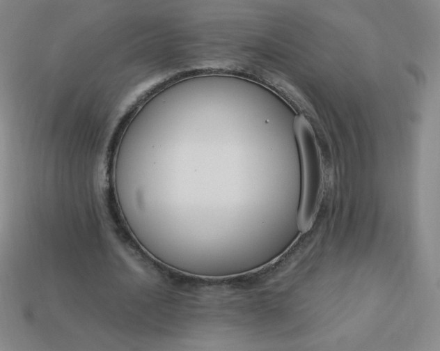 X0000113950628200910091609