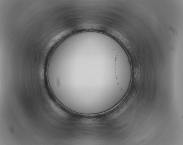 X0000113950629200910091609