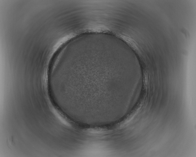X0000113950630200910091609
