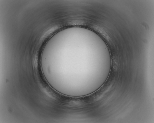 X0000113950631200910091609