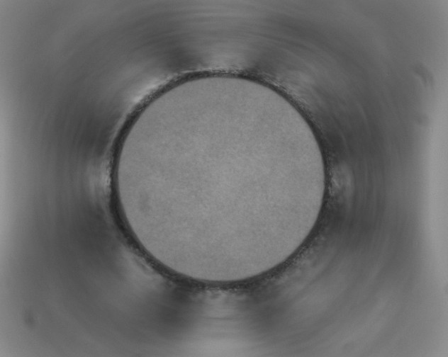 X0000113950632200910091609