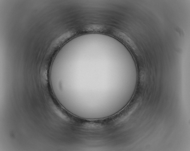 X0000113950633200910091609