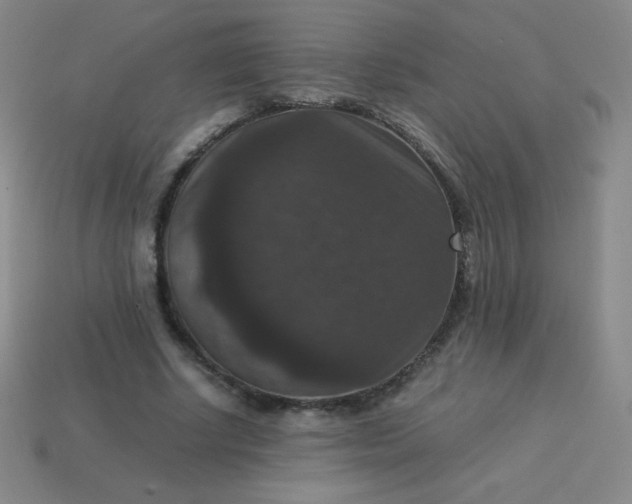 X0000113950634200910091609