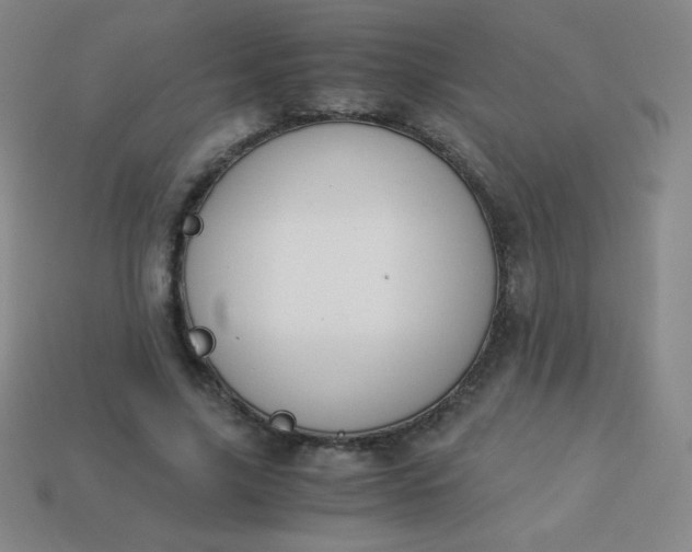 X0000113950635200910091610