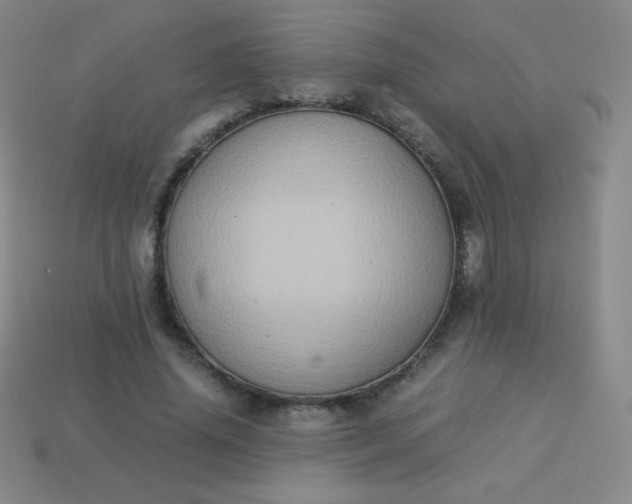 X0000113950636200910091610