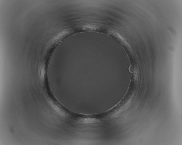 X0000113950637200910091610