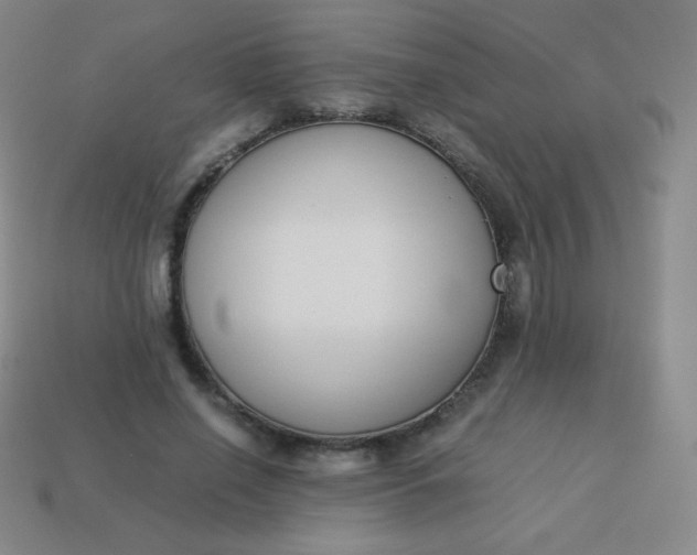 X0000113950638200910091610